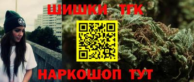 гашик Волжский