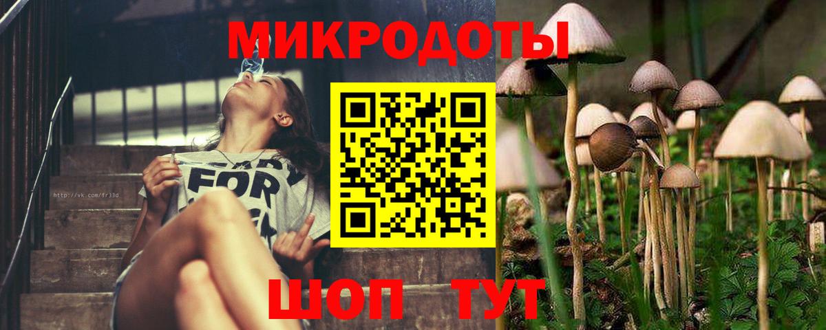 Галлюциногенные грибы мухоморы  Вход с VPN  купить  сайты  Псилоцибиновые грибы Cubensis  Нижнеудинск 